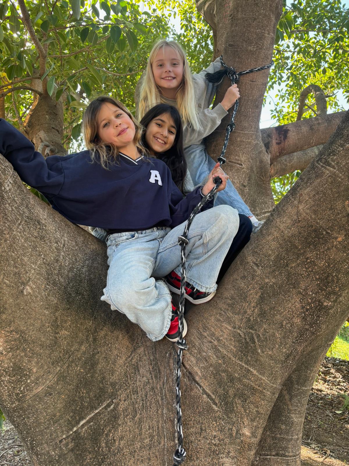 Children climbing trees at AIM School Mijas